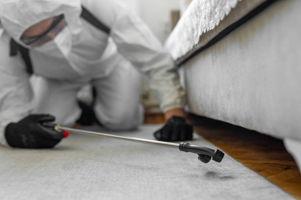 Professional Bed Bug Control technician working in North Carolina, NC